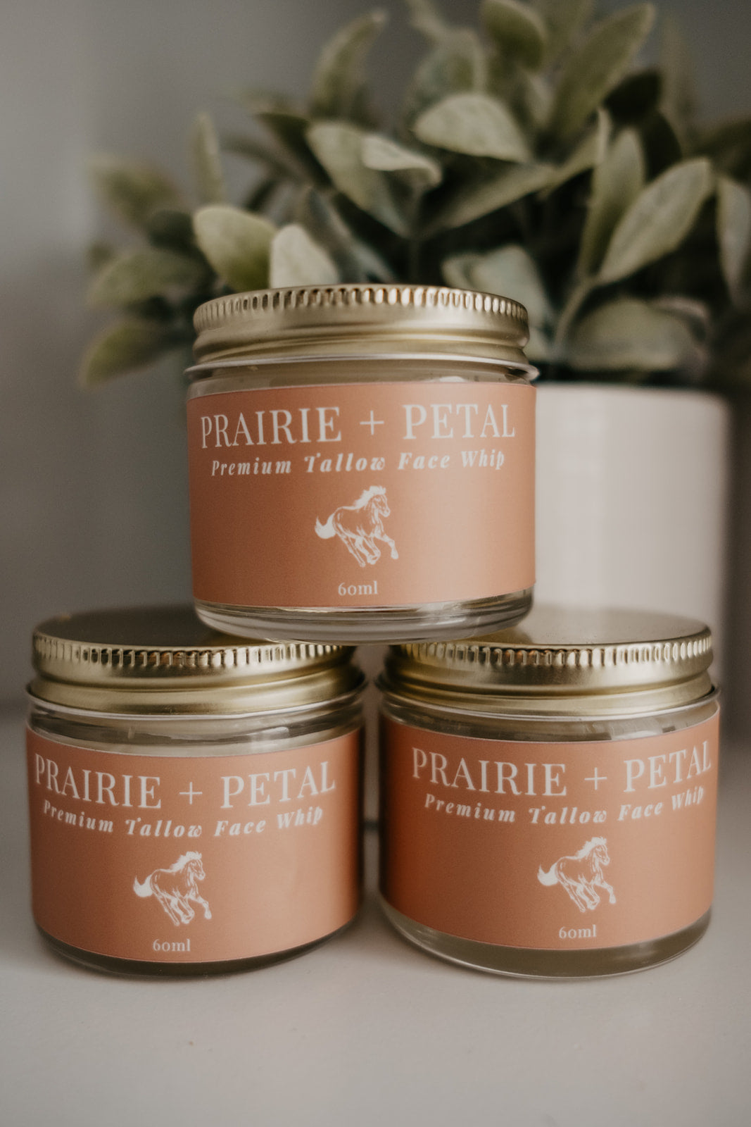 Premium Tallow Face Whip